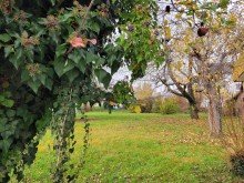 20251114_143818 Gro�es Baugrundst�ck in Knittlingen - Flexible Bebauung gem�� �34 BauGB