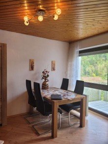 20240925_144234 Sch�ne 1 Zimmer Wohnung mit neuem Badezimmer, EBK und Balkon in Sch�nm�nzach